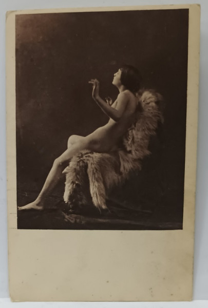 NUD PE FOTOLIU IMBLANIT , CARTE POSTALA ILUSTRATA , EROTICA , ANII ' 20