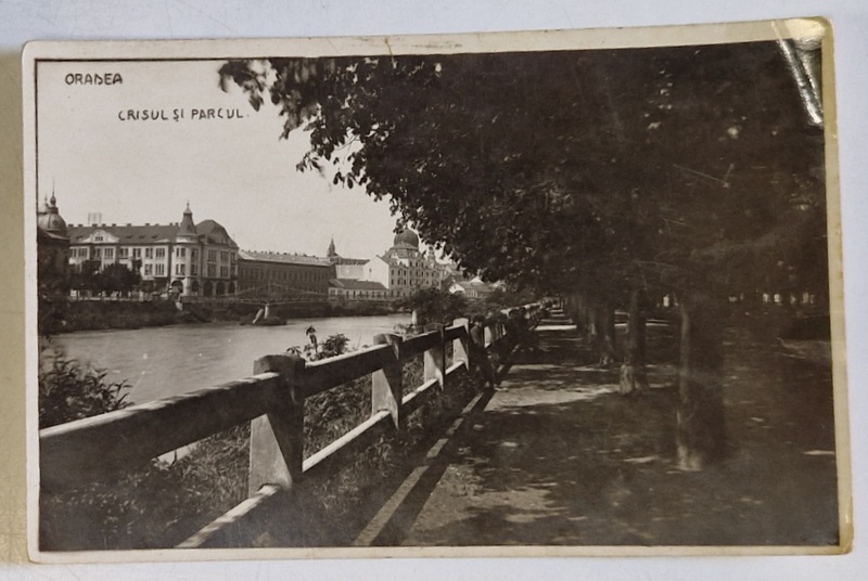 ORADEA , CRISUL SI PARCUL , VEDERE SPRE SINAGOGA , FOTOGRAFIE TIP CARTE POSTALA , ANII '20