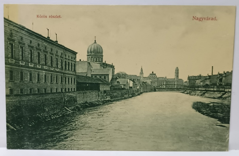 ORADEA , VEDERE PE DE CRIS , IN STANGA SINAGOGA , IN FATA PALATUL PRIMARIEI , CARTE POSTALA , CCA. 1900