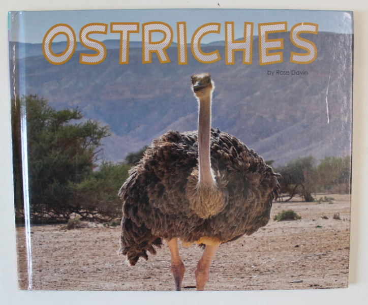 OSTRICHES , MEET DESERT ANIMALS by ROSE DAVIN , 2017