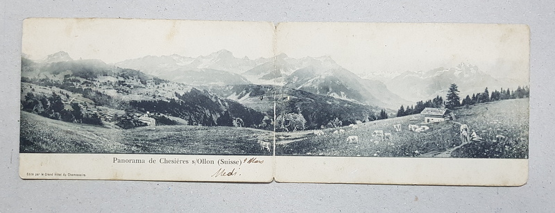 PANORAMA DE CHESIERES S/ OLLON , ELVETIA , CARTE POSTALA DUBLA , CIRCULATA , DATATA 1906