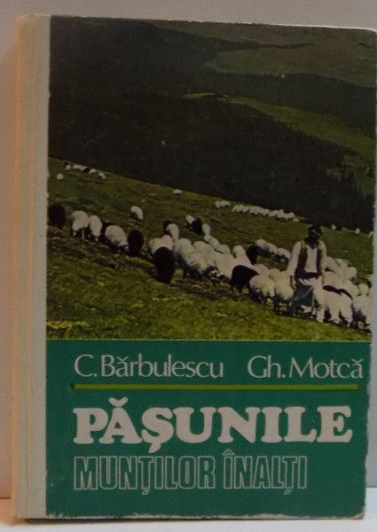 PASUNILE MUNTILOR INALTI , 1983