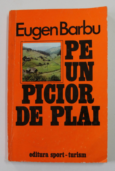 PE UN PICIOR DE PLAI... de EUGEN BARBU , 1978