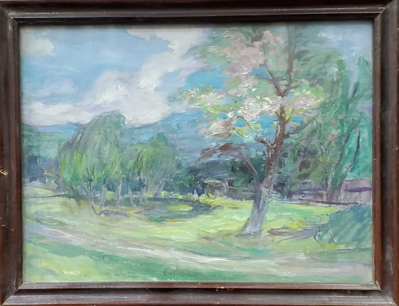 Peisaj de Primavara - Semnat ilizibil