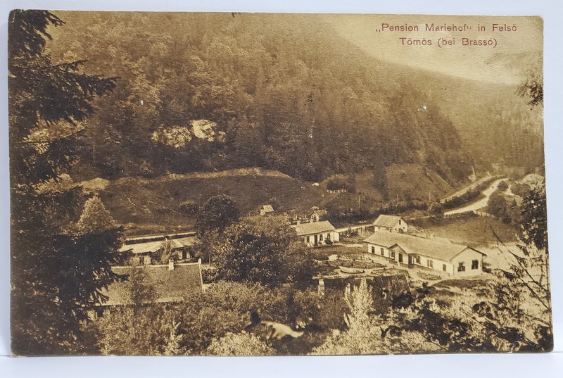 '' PENSION MARIEHOF ''  IN FELSO TOMOS BEI BRASSO , CARTE POSTALA , 1913