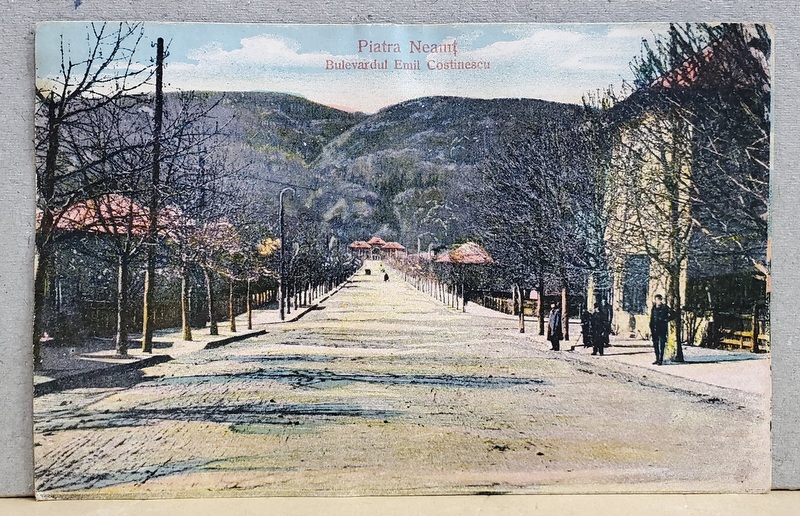 PIATRA NEAMT , BULEVARDUL EMIL COSTINESCU , 1926