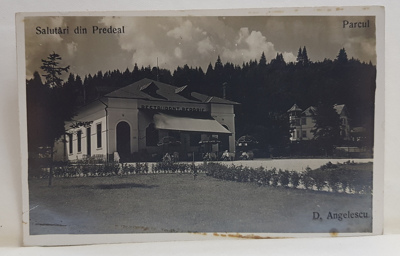 PREDEAL - PARCUL D. ANGELESCU , FOTOGRAFIE TIP CARTE POSTALA , INTERBELICA