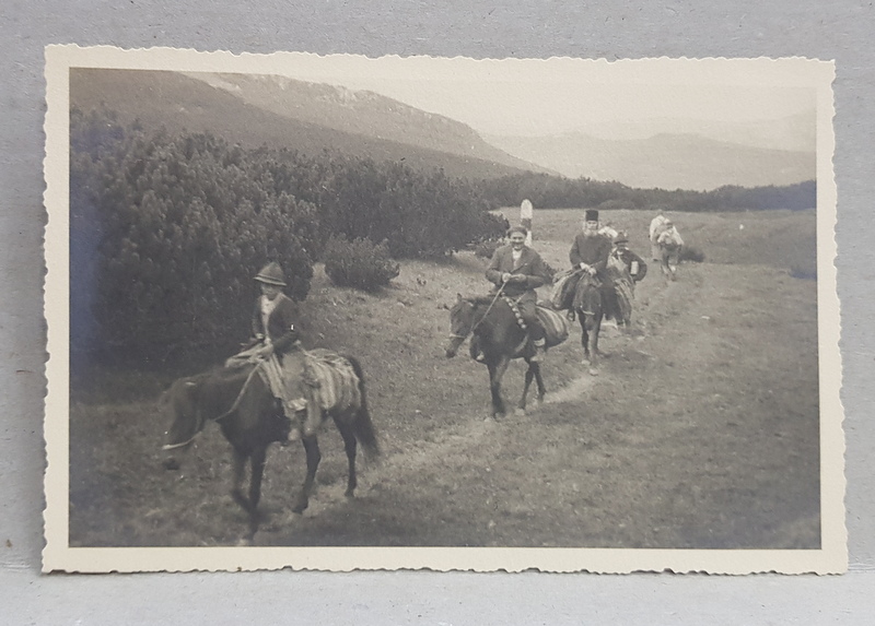 PREOT SI TARANI CALARE,  PE O POTECA IN VALE , FOTOGRAFIE TIP CARTE POSTALA , MONOCROMA , NECIRCULATA , PERIOADA INTERBELICA