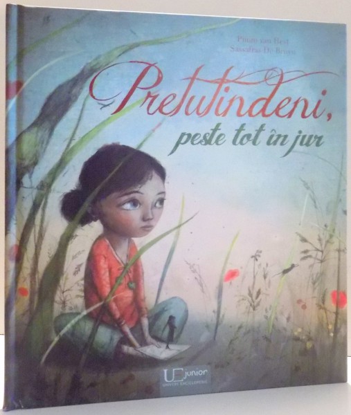 PRETUTINDENI , PESTE TOT IN JUR de PIMM VAN HEST , SASSAFRAS DE BRUYN , 2016