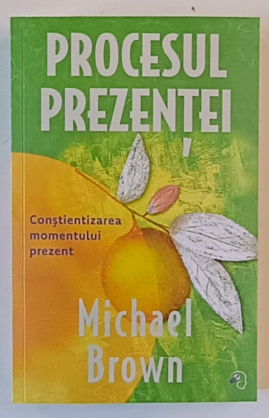 PROCESUL PREZENTEI , CONSTIENTIZAREA MOMENTULUI PREZENT de MICHAEL BROWN , 2025