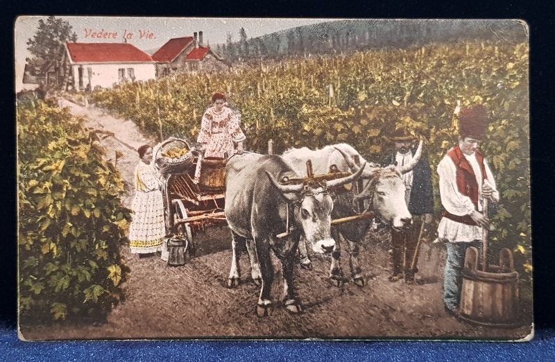 ROMANIA , VEDERE DIN VIE , CARTE POSTALA ILUSTRATA , 1927