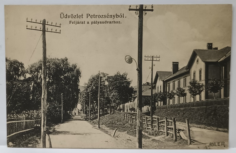 SALUTARI DIN PETROSANI , DRUMUL DE ACCES CATRE GARA , CARTE POSTALA , 1909