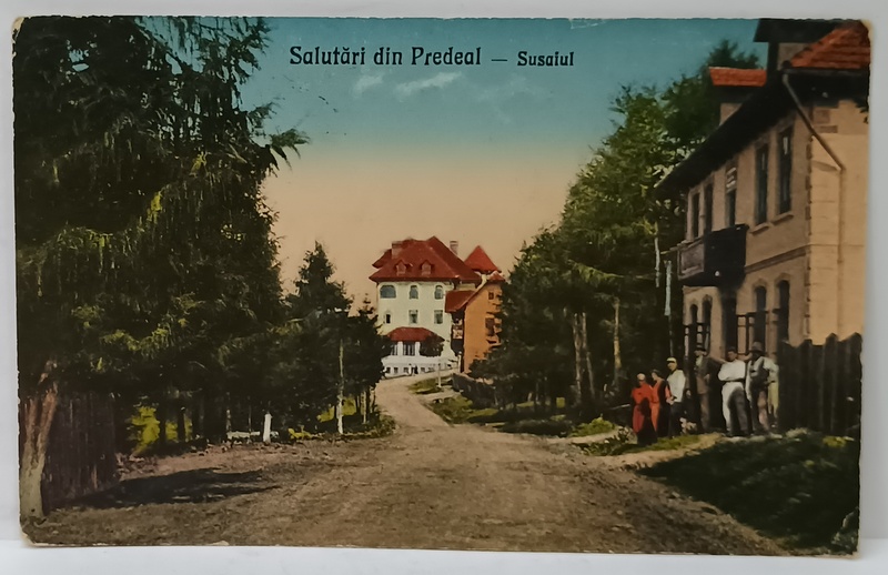 SALUTARI DIN PREDEAL - SUSAIUL , CARTE POSTALA ILUSTRATA , 1930