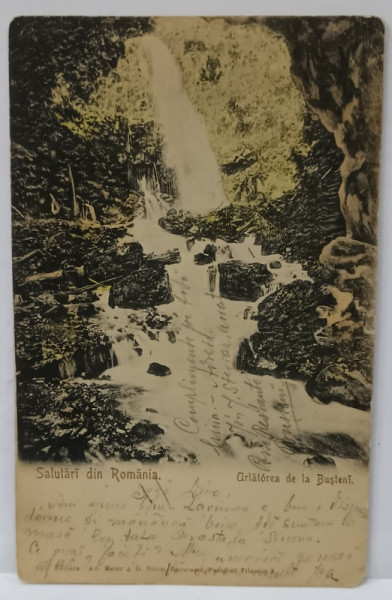 SALUTARI DIN ROMANIA , CASCADA URLATOAREA DIN BUSTENI , CARTE POSTALA ILUSTRATA , CLASICA , DATATA  1904