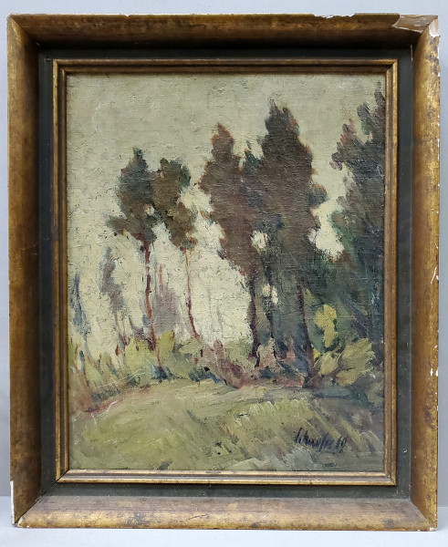 Schaefer(?) - Peisaj