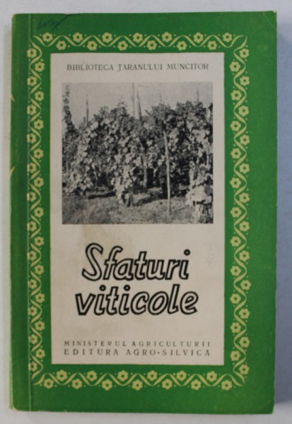 SFATURI VITICOLE , 1960