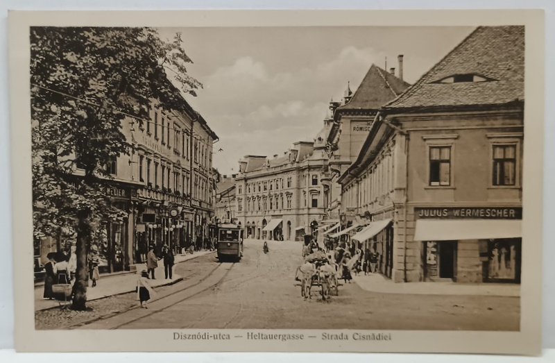 SIBIU , STRADA CISNADIEI , CU TRAMVAI IN PLAN APROPIAT SI MAGAZINUL ' JULIUS WERMESCHER '  IN DREAPTA , CARTE POSTALA , 1916