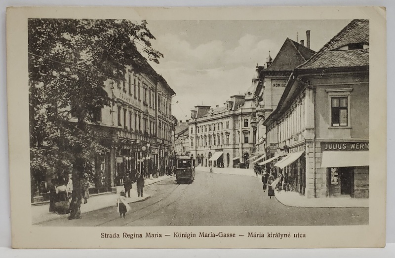 SIBIU , STRADA REGINA MARIA , CU TRAMVAI ELECTRIC , CARTE POSTALA , INTERBELICA