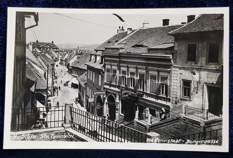 SIBIU  - STRADA TURNULUI , CARTE POSTALA ILUSTRATA , MONOCROMA , NECIRCULATA , PERIOADA INTERBELICA