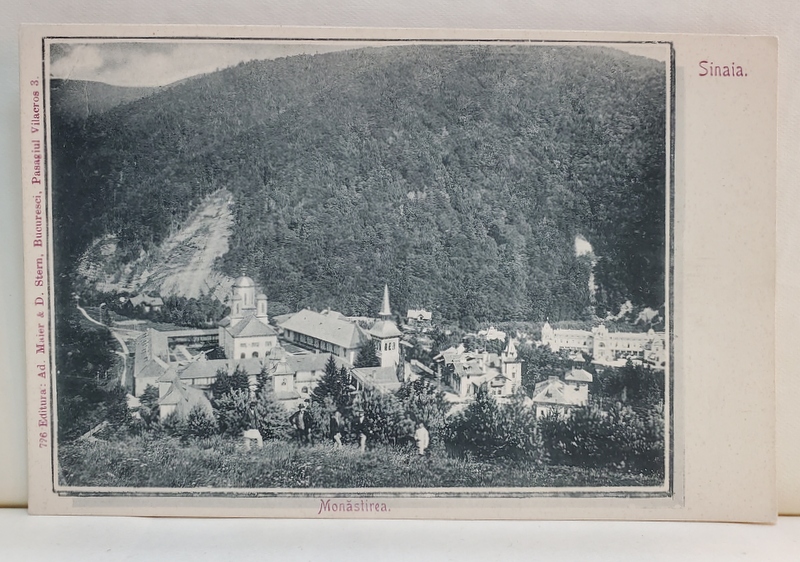 SINAIA - MONASTIREA , MANASTIREA SINAIA - CARTE POSTALA ILUSTRATA , MONOCROMA , CLASICA