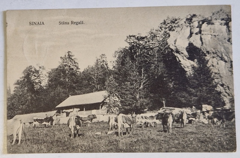 SINAIA , STANA REGALA , CARTE POSTALA , 1911