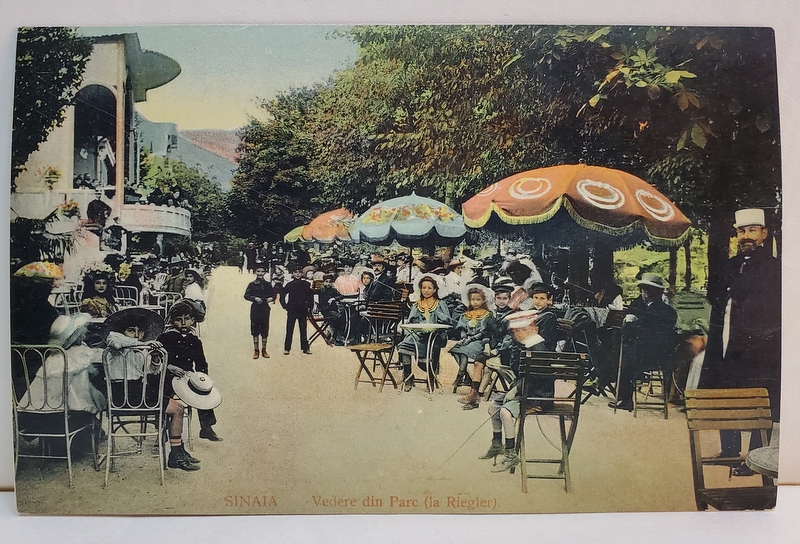 SINAIA - VEDERE DIN PARC - IN RIEGLER , CARTE POSTALA ILUSTRATA , INCEPUTUL SEC.XX