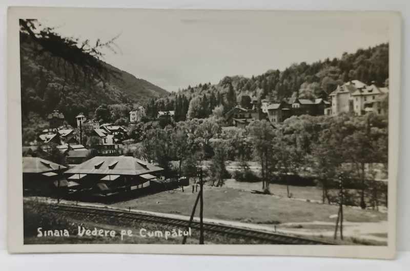 SINAIA ,  VEDERE PE CUMPATUL , FOTOGRAFIE , FORMAT CARTE POSTALA , INTERBELICA