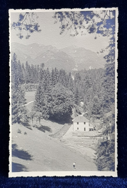 SINAIA , VEDERE SPRE FURNICA SI PIATRA ARSA , FOTOGRAFIE TIP CARTE POSTALA , 1934