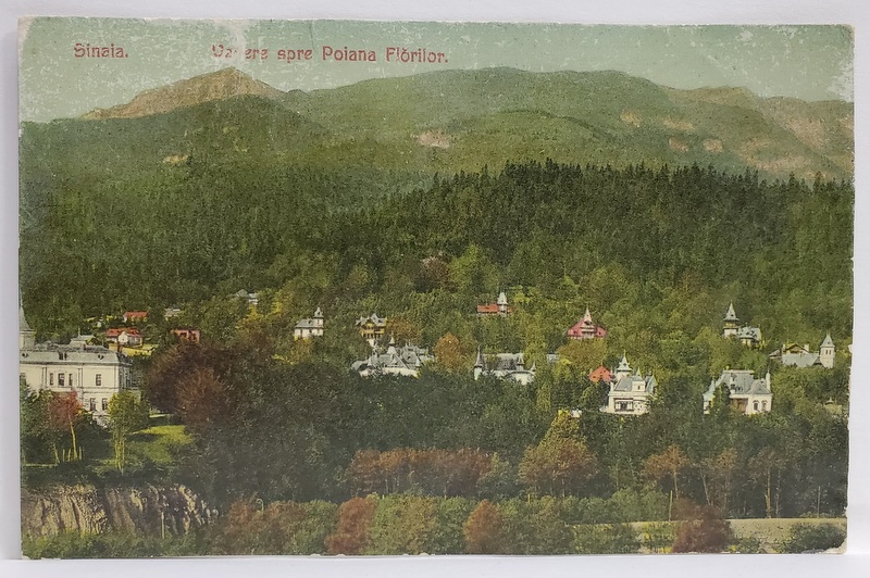 SINAIA , VEDERE SPRE POIANA FLORILOR , CARTE POSTALA , 1908