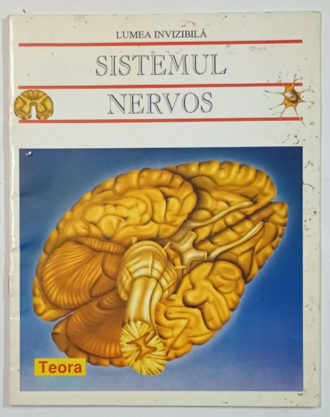 SISTEMUL NERVOS , SERIA ' LUMEA INVIZIBILA ' , 1995