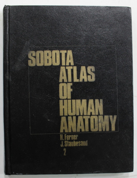 SOBOTA ATLAS OF HUMAN ANATOMY , VOL. 2 : THORAX , ABDOMEN , PELVIS , LOWER EXTREMITIES , SKIN by H. FERNER and J. STAUBESAND , 1982
