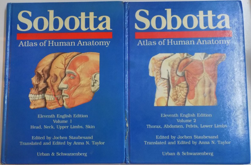 SOBOTTA , ATLAS OF HUMAN ANATOMY EDITED  by JOCHEN STAUBESAND , VOL I - II , 1990