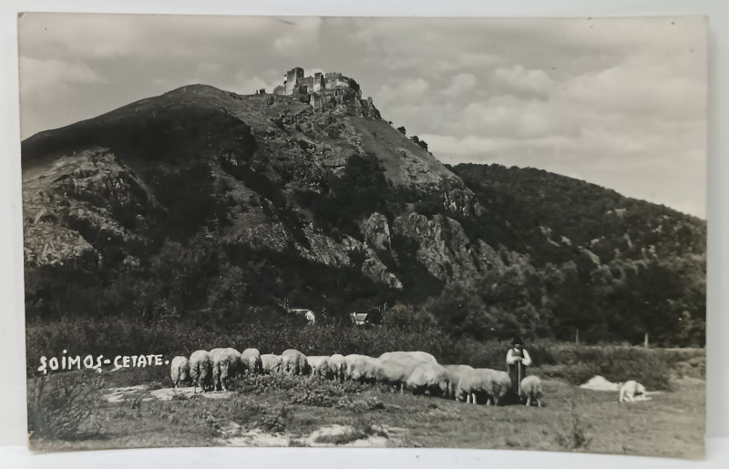 SOIMOS , CETATE , IN PLAN APROPIAT UN CIOBANAS CU TURMA DE OI , FOTOGRAFIE FORMAT CARTE POSTALA , 1939