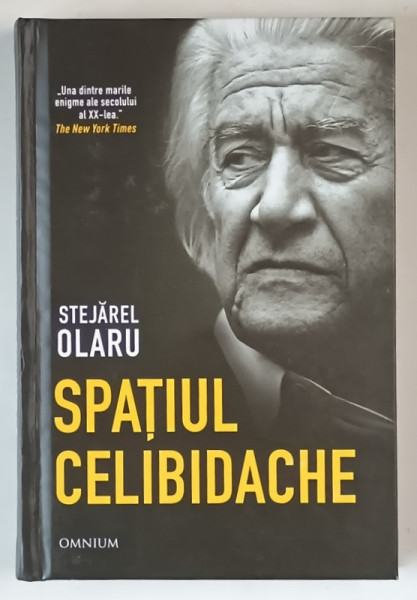 SPATIUL CELIBIDACHE de STEJAREL OLARU , 2025