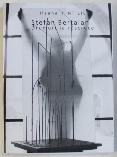 STEFAN BERTALAN  - DRUMURI LA RASCRUCE de ILEANA PINTILIE , 2010