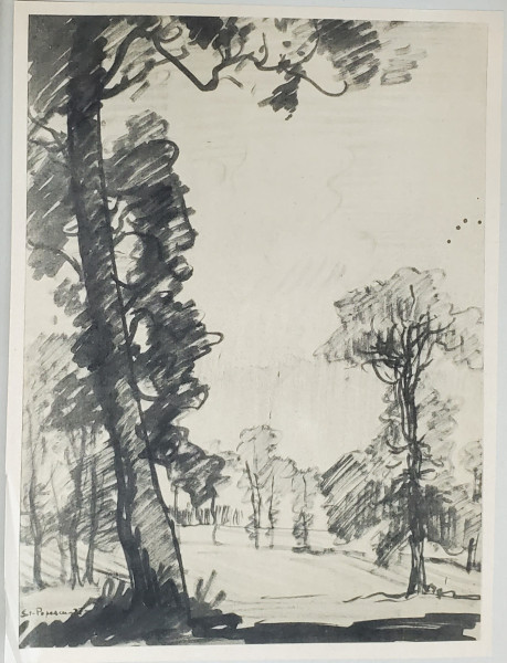 Stefan Popescu - Copaci