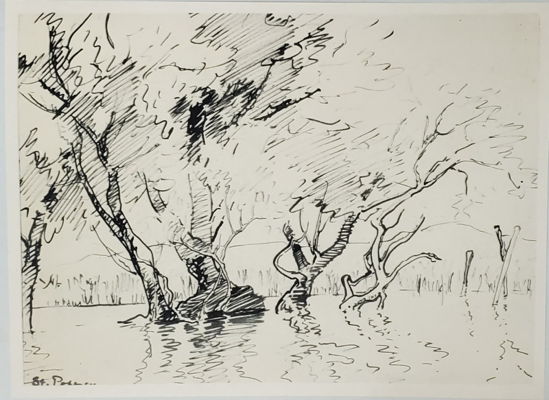 Stefan Popescu - In Balta