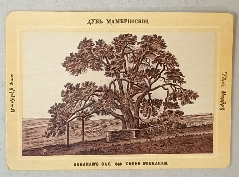 STEJARUL LUI ABRAHAM , LITOGRAFIE , FORMAT CARTE POSTALA , CCA . 1900