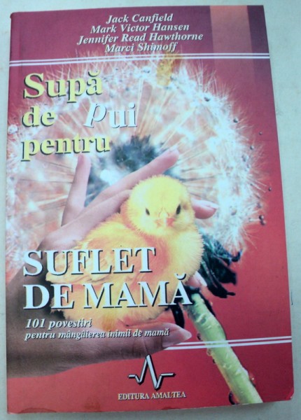 SUPA DE PUI PENTRU SUFLET DE MAMA  2001