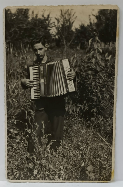 TANAR CANTAND LA ACORDEON IN LIVADA , ROMANIA , 1939 , FOTOGRAFIE FORMAT CARTE POSTALA