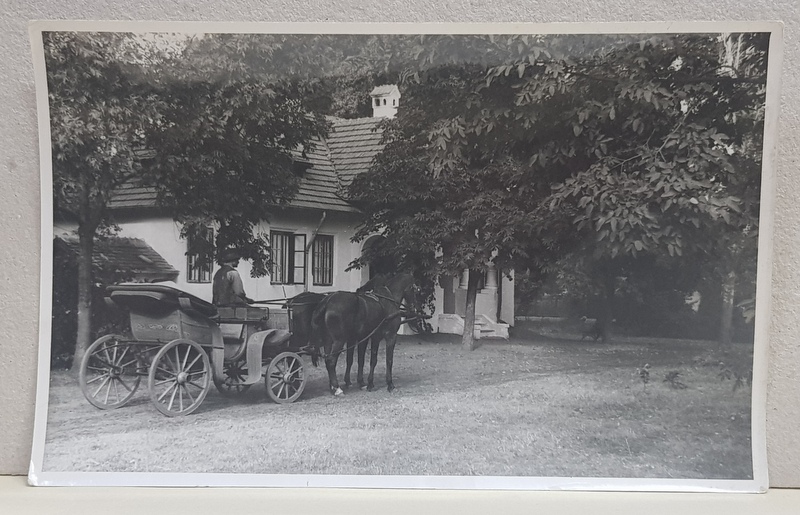 TARAN CU TRASURA TRASA DE DOI CAI , ASTEPTAND LANGA O CASA BOIEREASCA , FOTOGRAFIE MONOCROMA, PERIOADA INTERBELICA