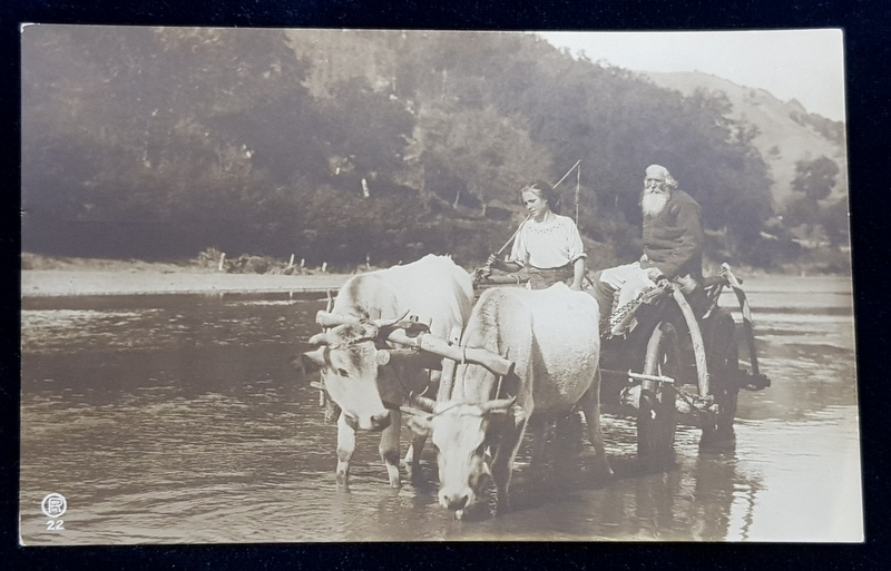 TARANI IN CAR CU BOI TRECAND RAUL , CARTE POSTALA ILUSTRATA , MONOCROMA , COLECTIA A . BELLU , NECIRCULATA , PERIOADA INTERBELICA