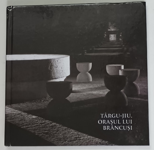 TARGU - JIU , ORASUL LUI BRANCUSI , 2013