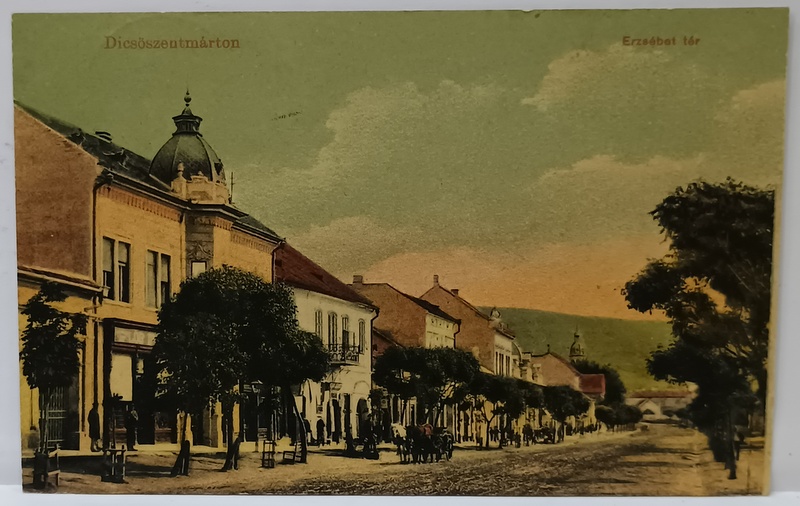 TARNAVENI , STRADA CENTRALA . LOCUINTE CU MAGAZINE LA PARTER , CROMOLITOGRAFIE , CARTE POSTALA , 1907
