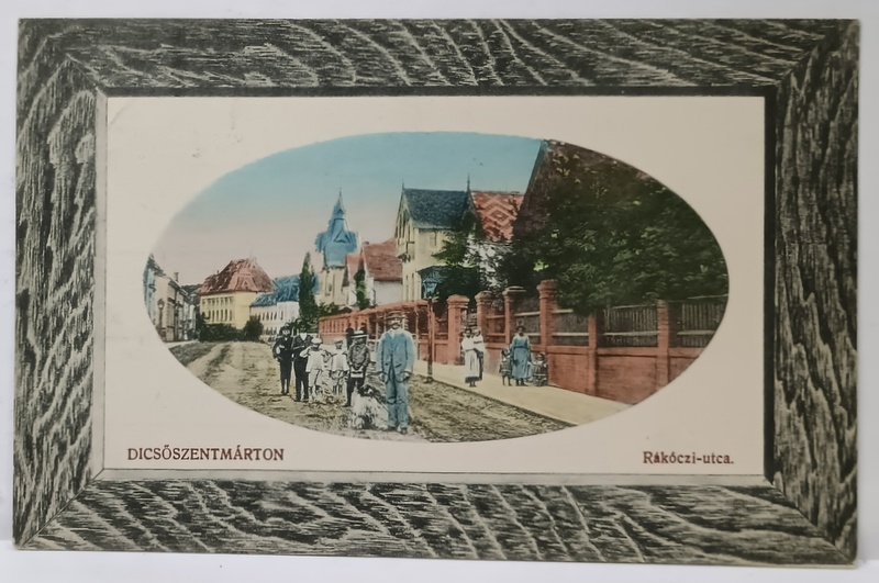 TARNAVENI ,  STRADA RAKOCZI , CARTE POSTALA , 1910