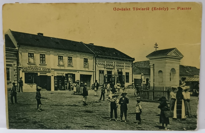 TEIUS , CASE CU MAGAZINE IN CENTRU , CARTE POSTALA , 1916