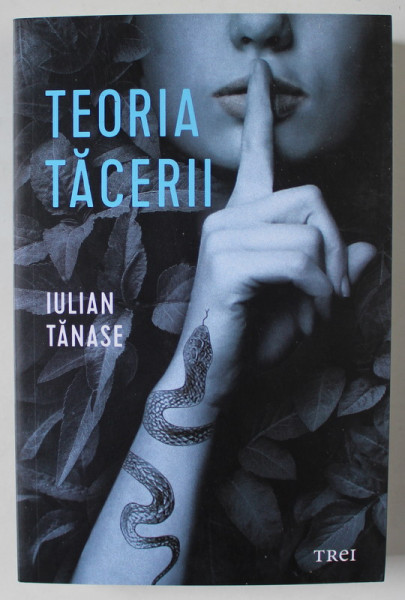 TEORIA TACERII de IULIAN TANASE , 2024 , MICI DEFECTE