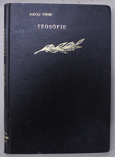 TEOSOFIE de RUDOLF STEINER , EXEMPLAR DACTILOGRAFIAT , ANII ' 70 - ' 80