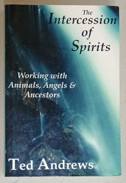 THE INTERCESSION OF SPIRITS , WORKING WITH ANIMALS , ANGELS and ANCESTORS by TED ANDREWS , 2008