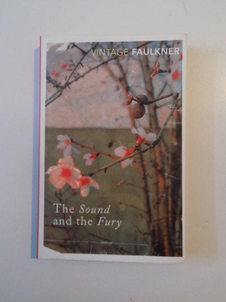 THE SOUND AND THE FURY de WLLIAM FAULKNER 1995